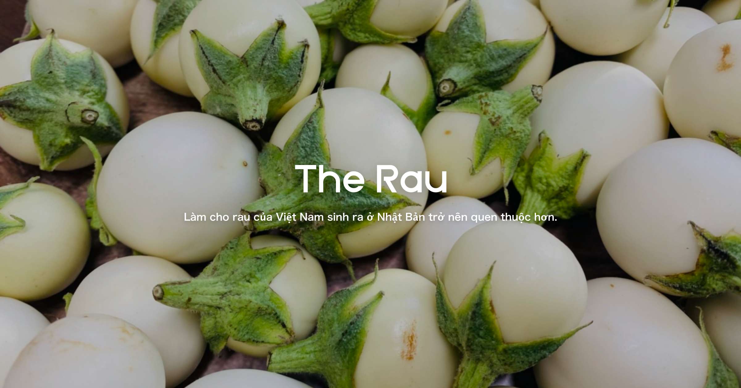 The Rau：日本産ベトナム野菜販売会社