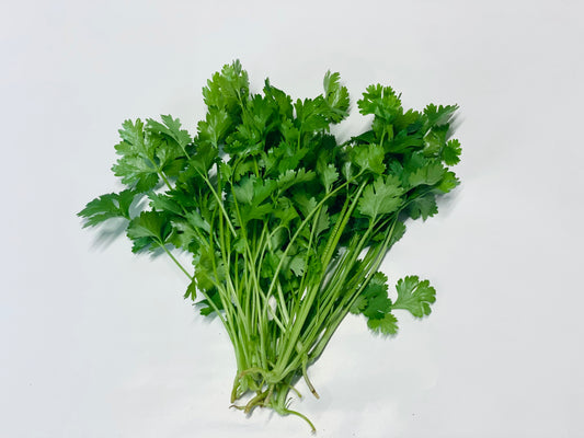 Rau mùi(ベトナムパクチー)